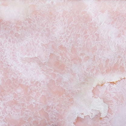 FAREWELL TO REASON 05