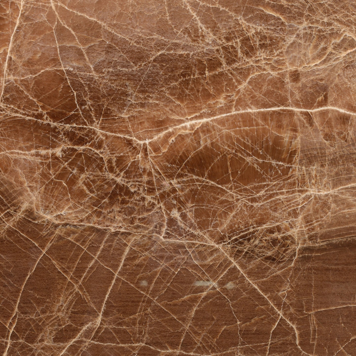 FAREWELL TO REASON 04